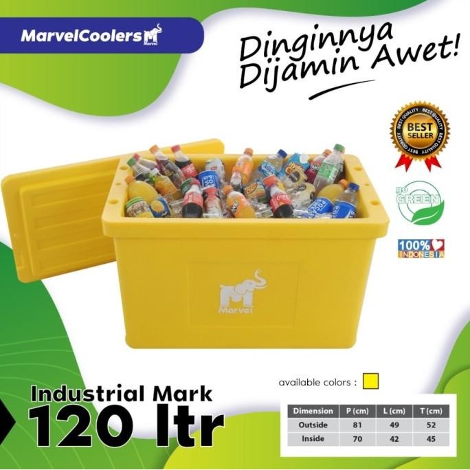 CO Cool Box 120 L Liter Termos Es Ice pendingin minuman cooler kotak