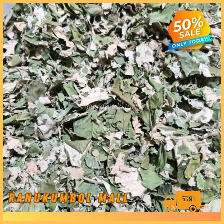 

KERING 100GR DAUN BIDARA RUQYAH DAUN BIDARA ARAB RANU KUMBOL MALL KUALITAS PRODUK TERBAIK!