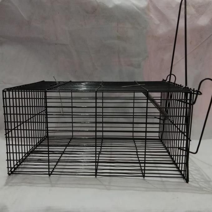 Jebakan Tikus Besar Perangkap Kurungan Tikus Kawat Baja