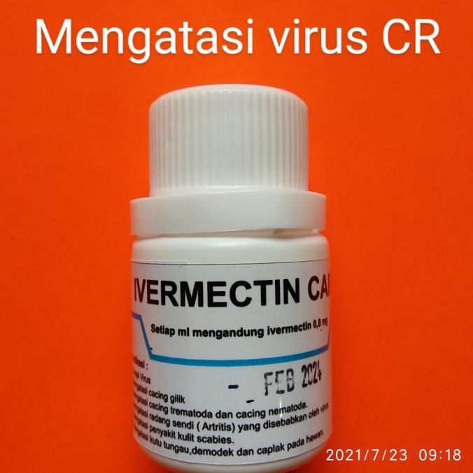 TERLARIS - ivermectin oral,obat demodek,obat kutu,kucing,kelinci,scabies
