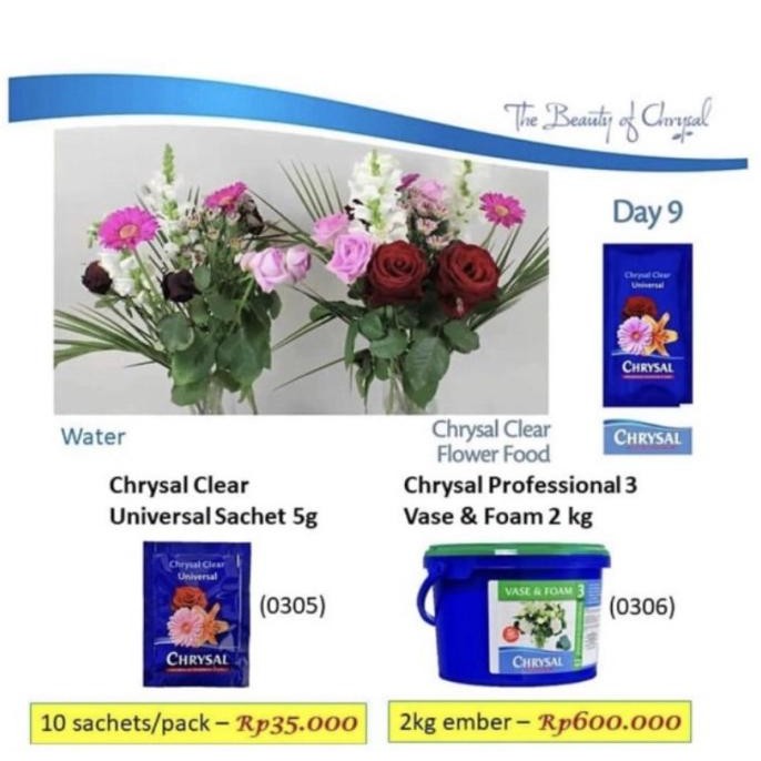 

CO Chrysal Clear Pengawet Bunga Bubuk Vitamin Bunga Bubuk Flower Food