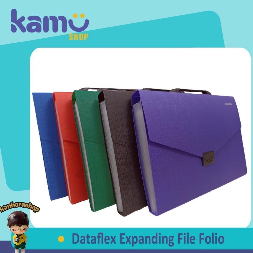 

Dataflex Expanding File Folio Df - 231 Sale