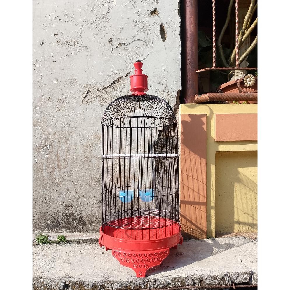 Up15 SANGKAR LOVEBIRD KAPSUL LENGKAP TEBOK MERCY WARNA T3 IWAN ATAP LENGKUNG KANDANG BURUNG TRUCUK K