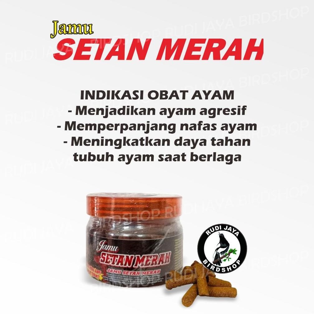 FUZ-611 JAMU SETAN MERAH TOPLES ISI 110 BOLUS JAMU VITAMIN AYAM ADUAN MENAMBAH STAMINA NAFAS PANJANG