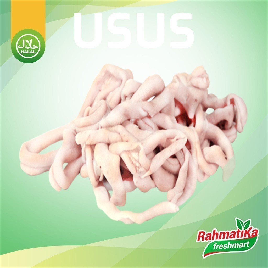 

Usus Ayam Segar / Usus Ayam Fresh 500 gram (Ayam Segar)