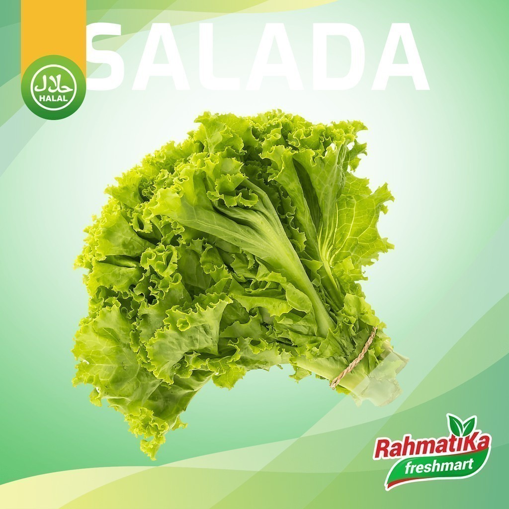 

Selada Segar / Daun Selada Fresh 500 gram (Sayur Segar)