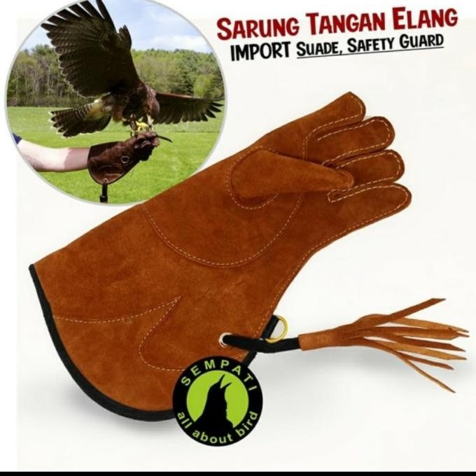 Grosir Anklet Celepuk+ Sarung Tangan Elang Glove
