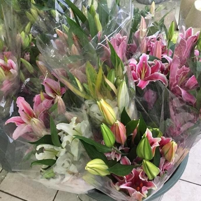 Bunga Lili Putih White Lily Fresh Segar Asli 5 tangkai Terlaris