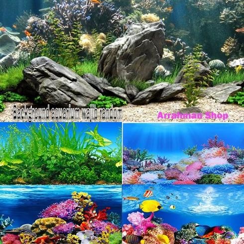 Background Wallpaper Aquarium Panjang Meteran Tinggi 30 40 50 60 cm Begron Gambar Belakang Cover Kac