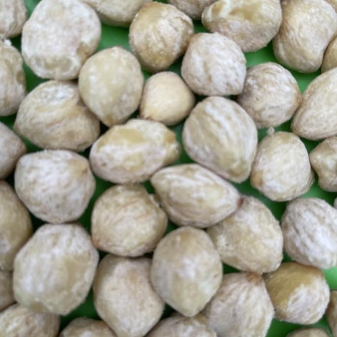 

Kemiri bulat 1kg utuh murah