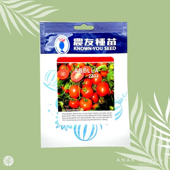 [1 PACK] Benih Tomat Adella 2403 F1 Hybrid Tomato - Known-You Seed murah