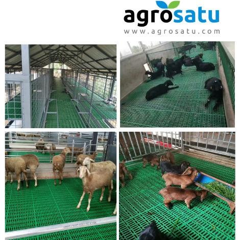 Slat Plastik Alas Lantai Kandang Modern Ternak Kambing Domba Babi murah
