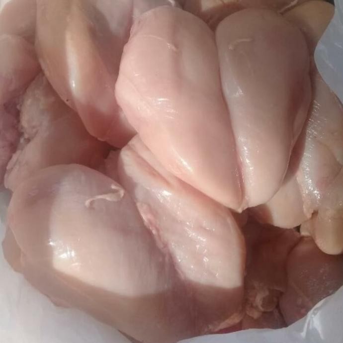 

(Good) fillet dada ayam fresh