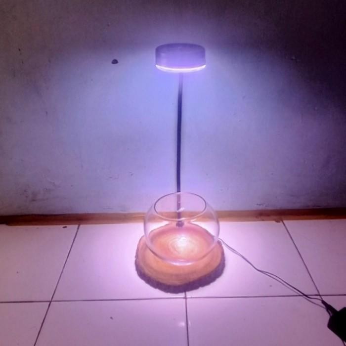 Lampu Aquarium Bulat Bowl Mini Aquascape Aquarium Original Dan Terpercaya