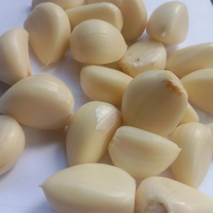 

bawang putih kating kupas murah