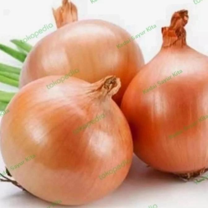 

BAWANG BOMBAI - 1000gr murah