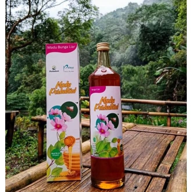 

MADU PERHUTANI BUNGA LIAR 650 ML