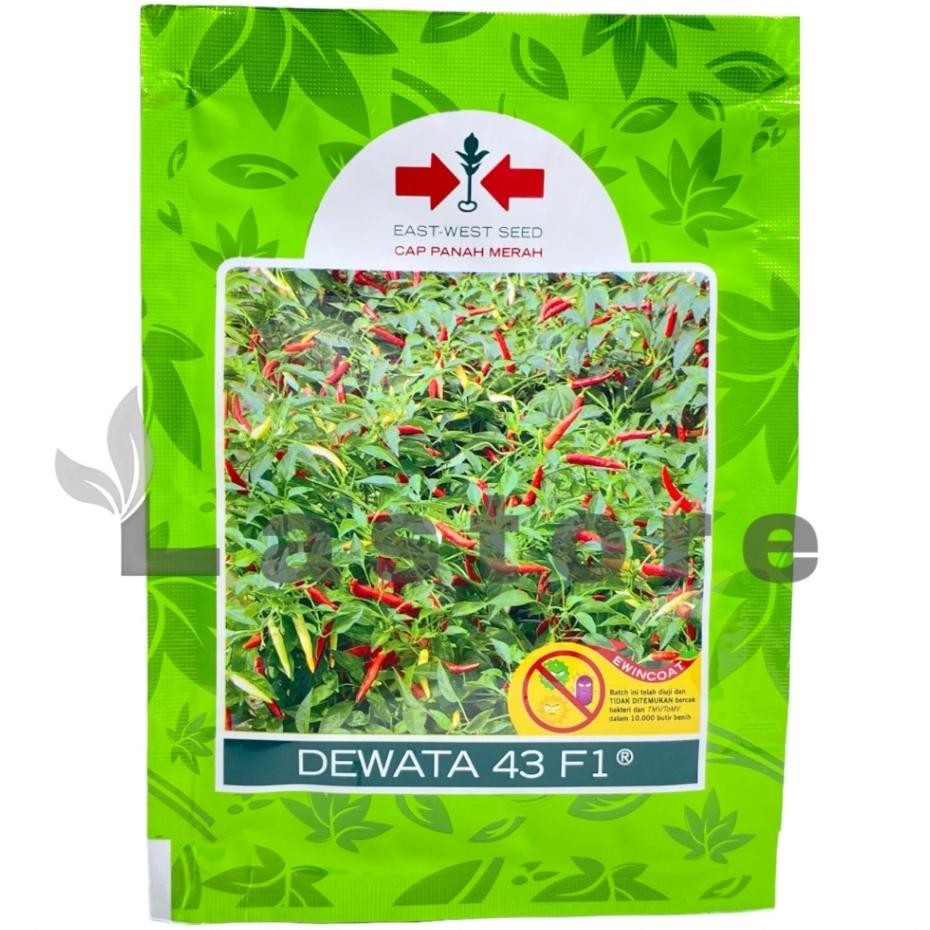 Benih Cabe Cabai Rawit Dewata 43 F1 Ii 2250 Butir Cap Merah