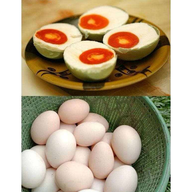 

Fb-43 Telur Ayam Kampung / Telur Bebek / Telur Asin / Telur Ayam Kampung Omega3
