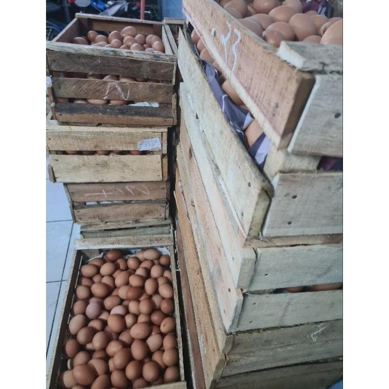 

Fsd-34 Telur Ayam Negri Fresh Per-Kg