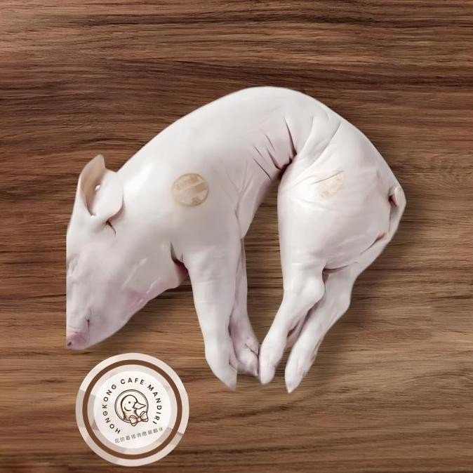 

Promo Suckling Pig/ Anak Babi / Babi Mentah