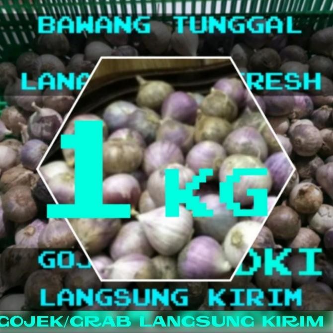 

bawang putih tunggal-bawang lanang herbal 1kg [terbaik]