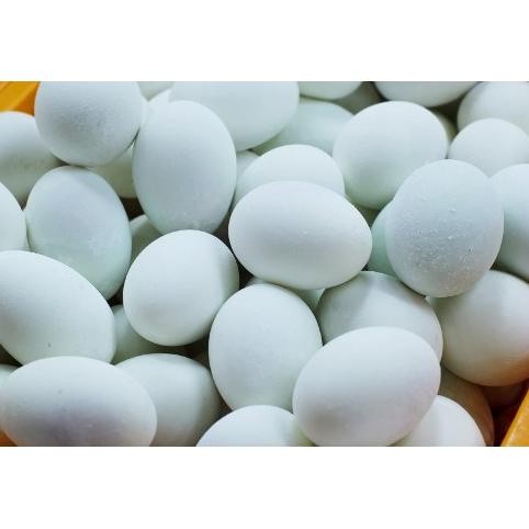 

Bas-12 Telur Asin Matang Per Butir