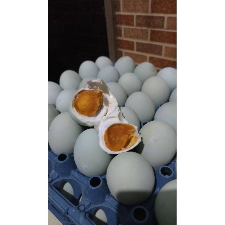 

Aq-54 Telur Asin Bebek Omega Masir Dan Ber Minyak Ukuran Besar