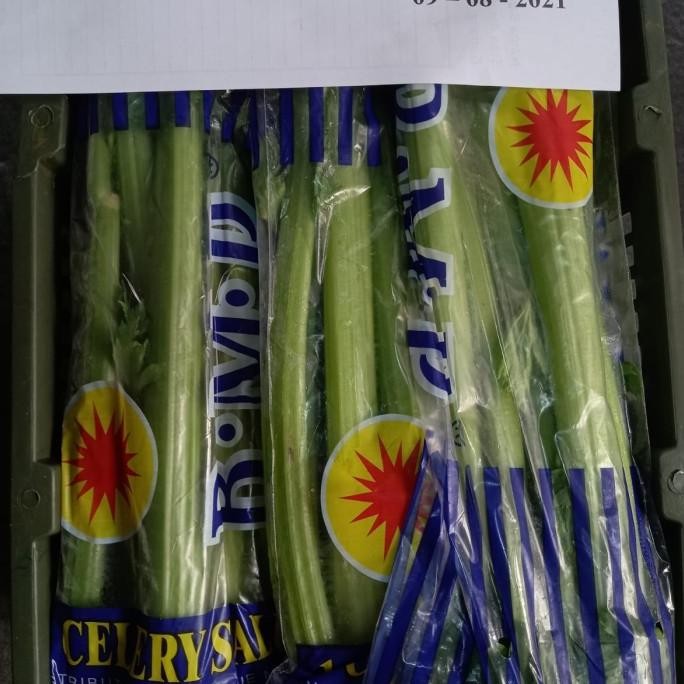 

Celery Stick Import Co