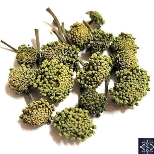 

Sale 500 Gr Gram San Tian Qi Hua Teh Bunga Noto Ginseng Flower Tea
