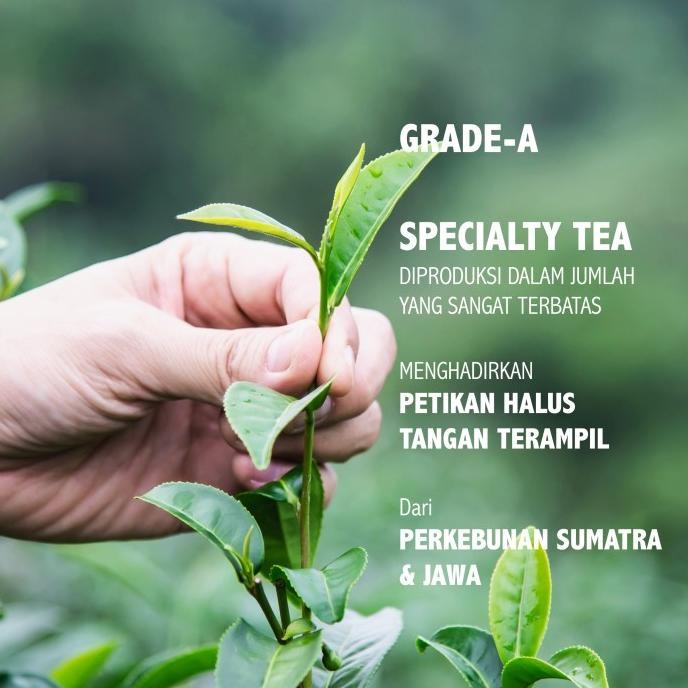 

Sale Halimun Black Tea | The Grand Cru | Haveltea | Teh Hitam | Loose Leaf