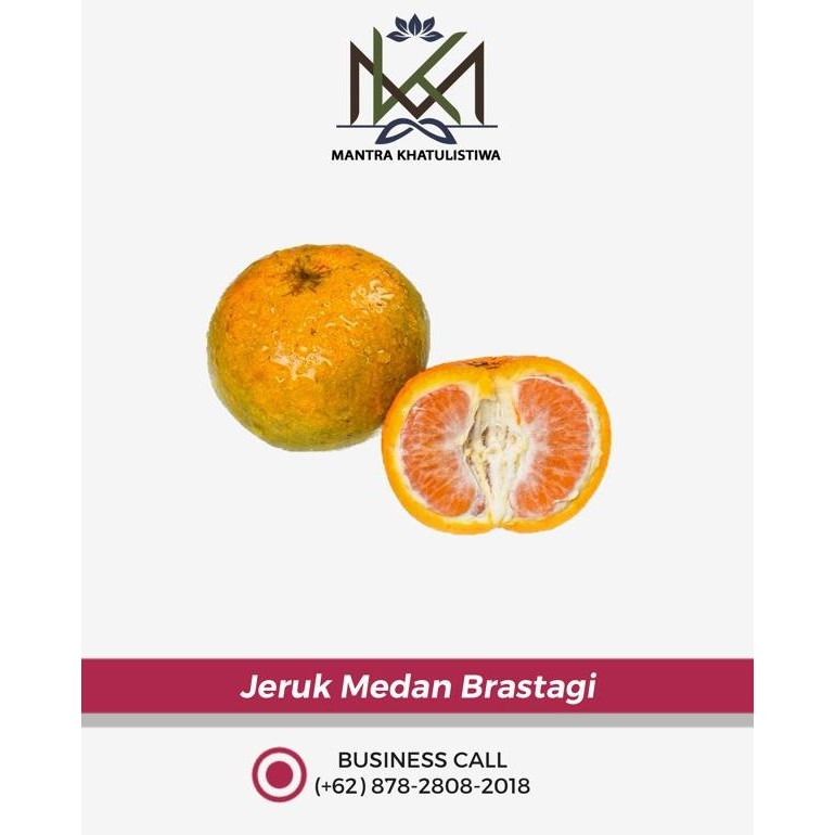 

Jeruk Medan Brastagi (Kecil, Besar, Super) nUg