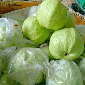 

Jambu Kristal Guava Crystal Segar Manis nUg