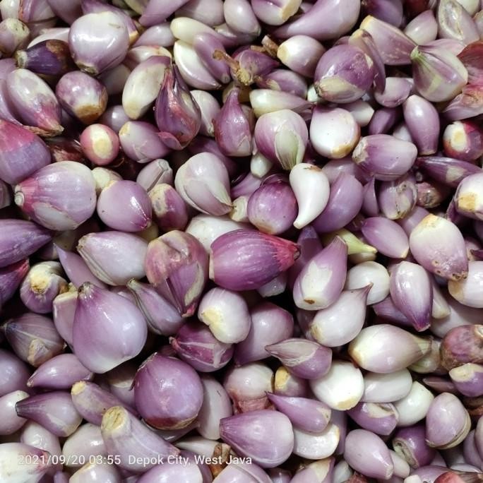 

Bawang Merah Kupas | Bawang Kupas nUg