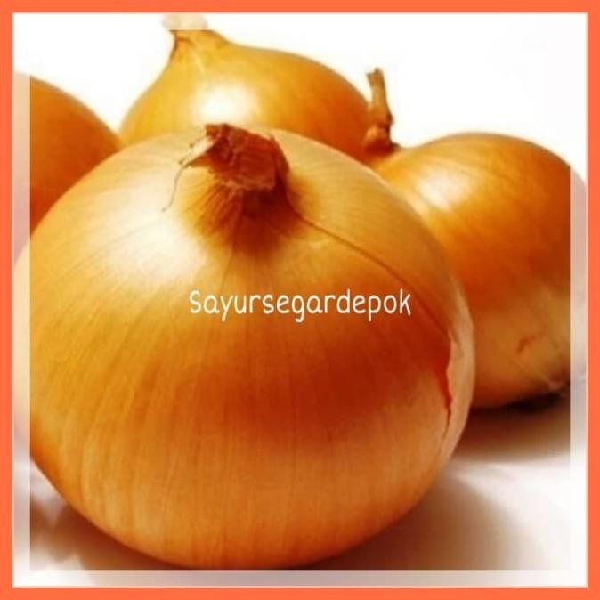 

bawang bombay / Bumbu / Rempah nUg