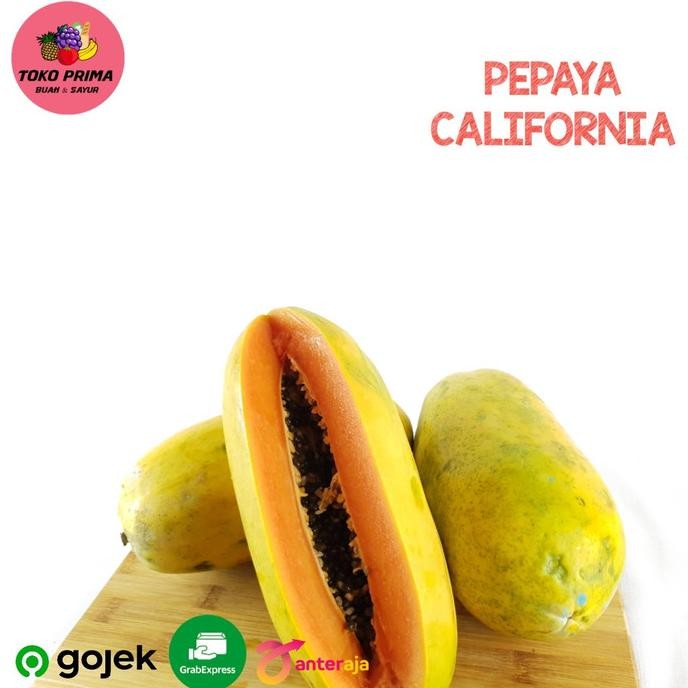 

BUAH PEPAYA CALIFORNIA SUPER 1 Pcs nUg
