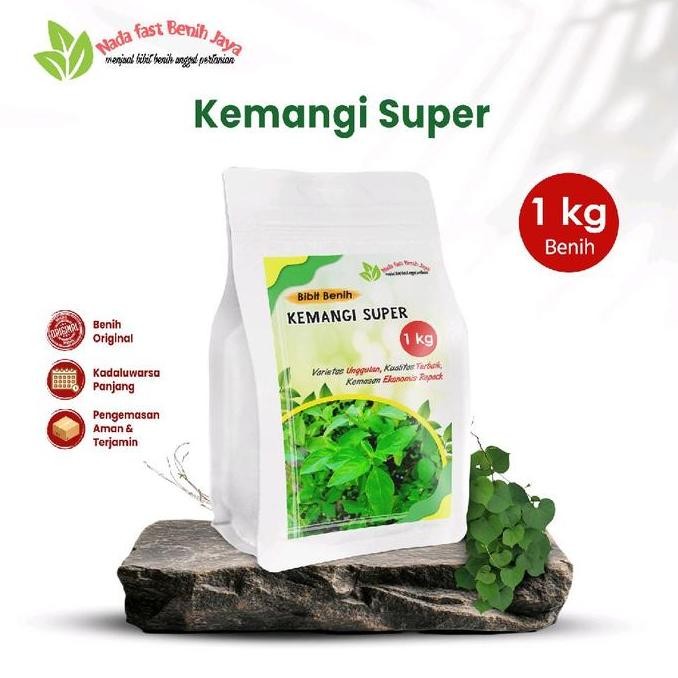Benih daun kemangi super 1 kg / bibit biji kemangi unggulan benih tanaman sayur