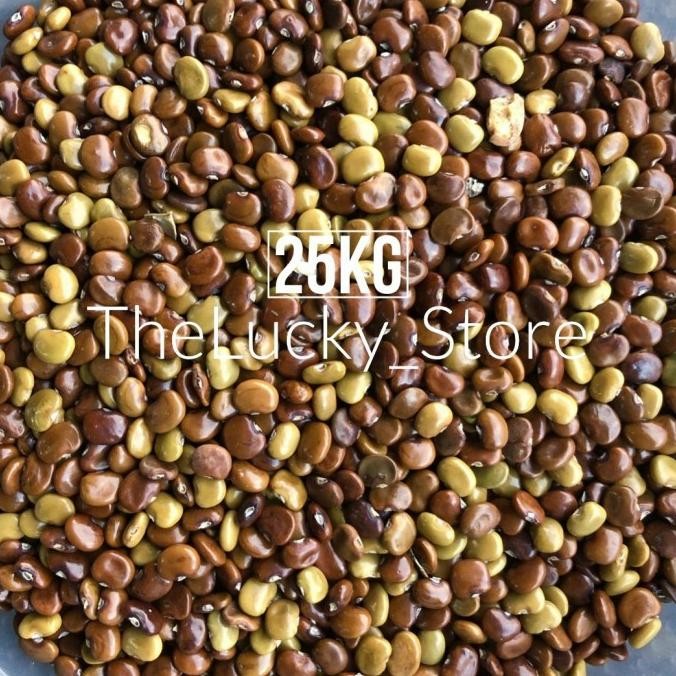 Benih Bibit Tanaman Biji Kacangan CC Calopogonium Caeruleum 25kg
