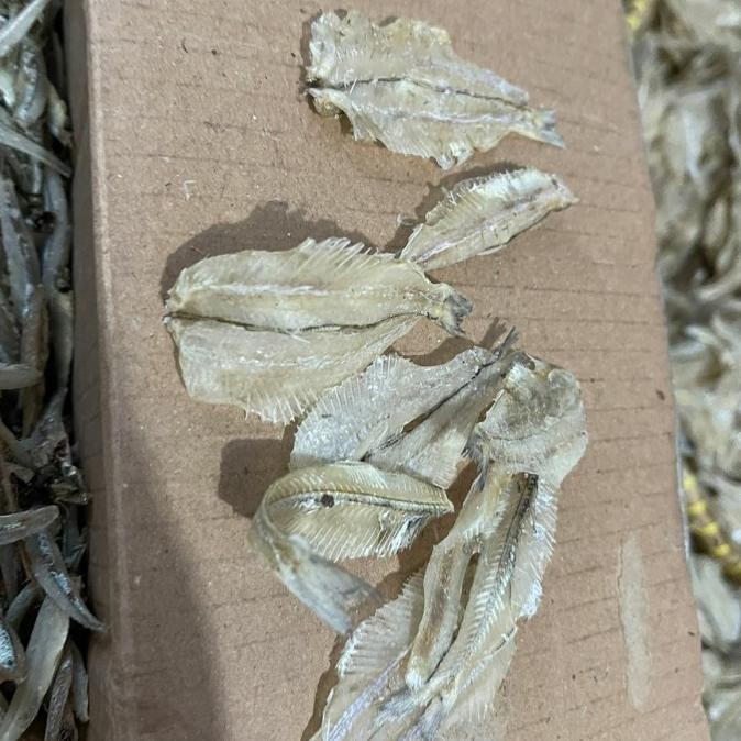 

Murah Pakang Tipis / Ikan Asin Kripik Semi Asin / 500Gram