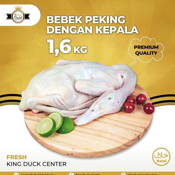 

Grosir Bebek Peking Bossbebek Kingduck 1,6Kg
