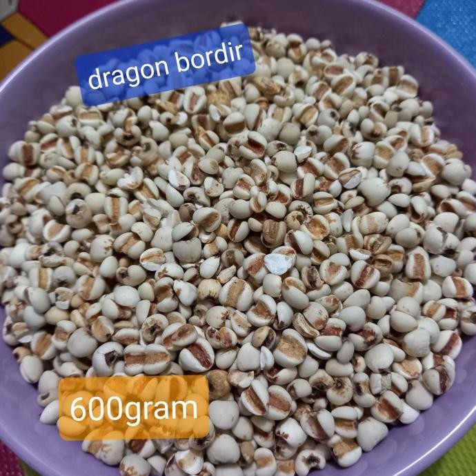 

Promo Biji Jali Jali Super 500Gram/ Barley Super 500Gram