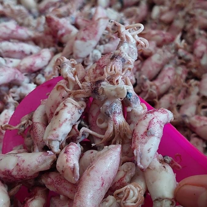 

Grosir Cumi Asin Jarum 10Kg