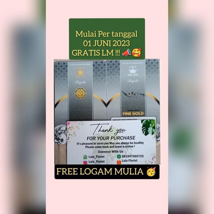 bibit tanaman buah anggur brazil jaboticaba