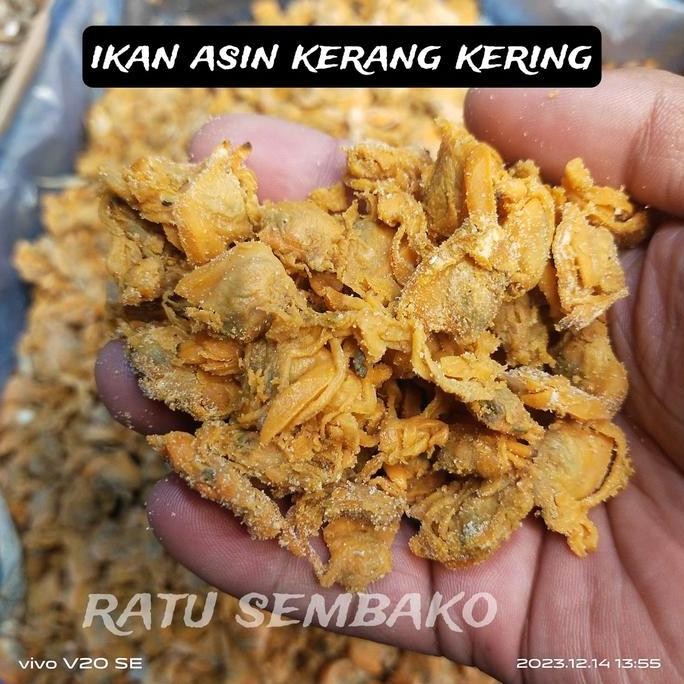

Murah 1 Kg Ikan Asin Kerang Kering