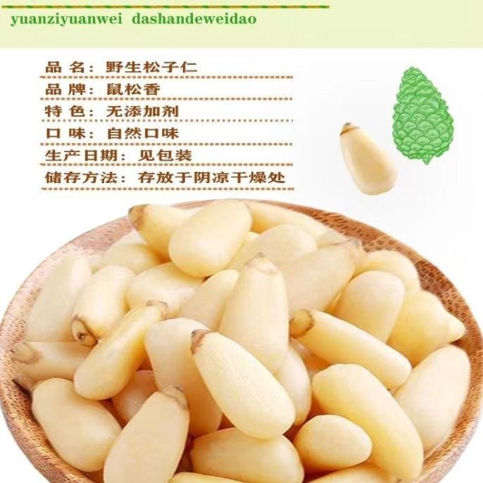 

Grosir Raw Pine Nut / Kacang Pinus Mentah