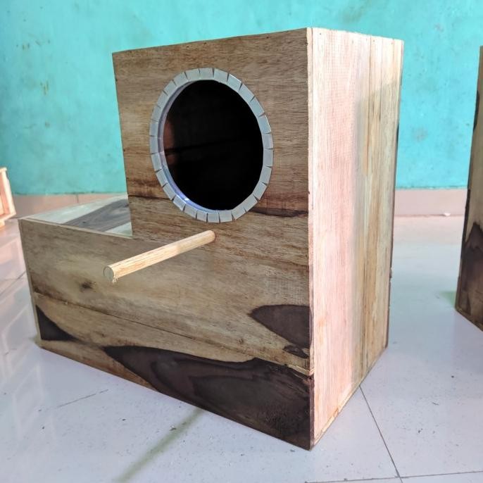 Glodok Parkit Australia Falk Nuri Sunconure Glodok Bentuk L | BEST QUALITY