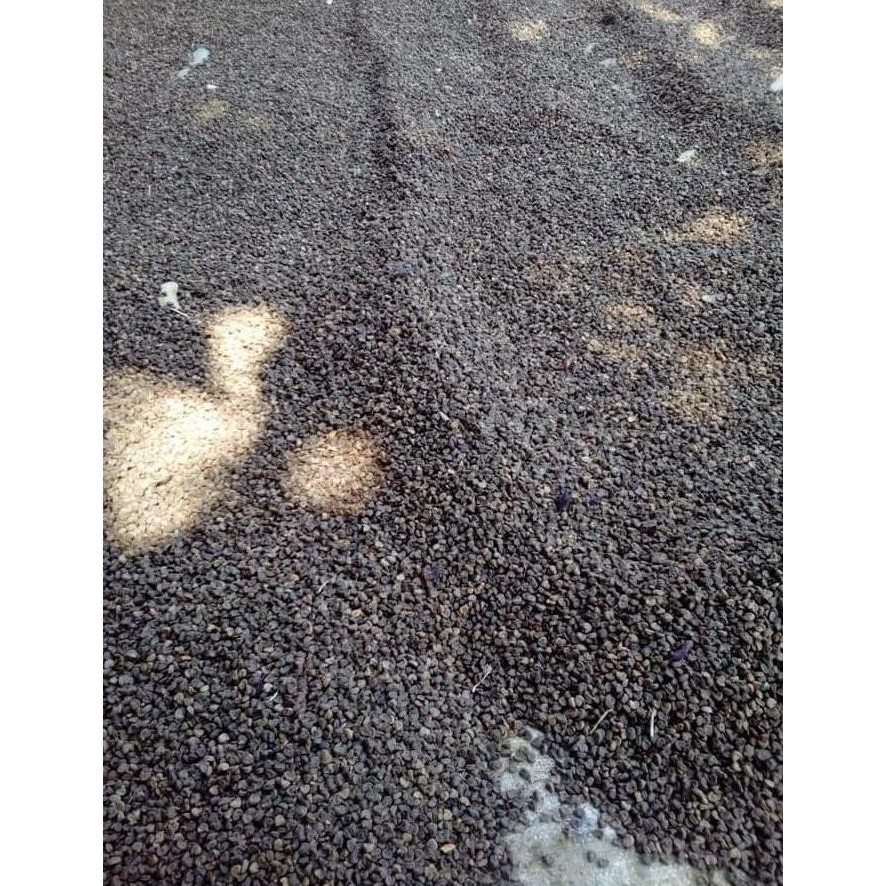 Bibit Benih Tanaman Benih Biji Bunga Rosella Ungu Hitam 200 g