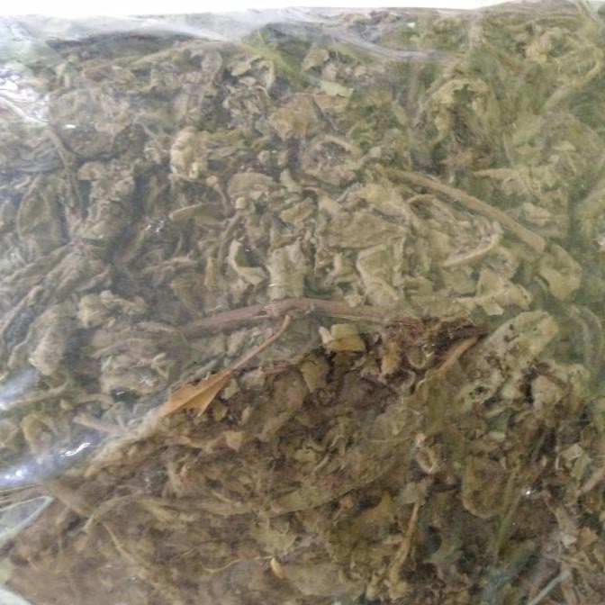 

Tersedia Daun Sembung Kering Asli 500gr