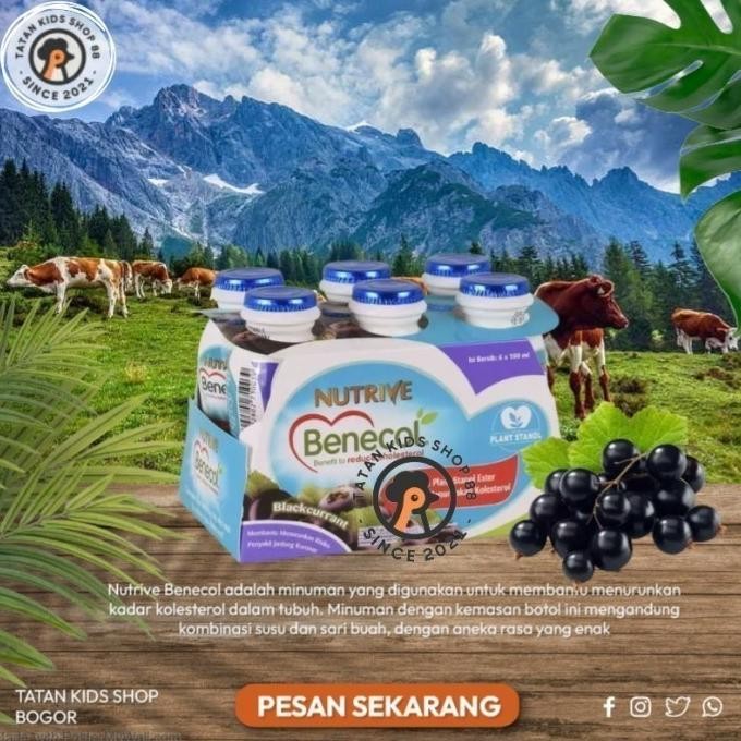 

Nutrive Benecol Untuk Kolesterol 6 100Ml Nutrive Fiber Shot 6 100Ml Promo