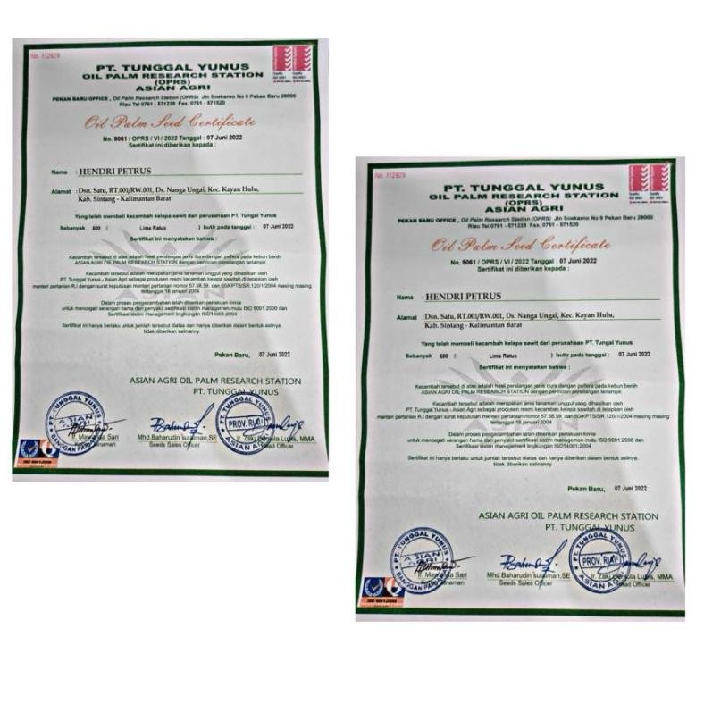 SAWIT BIBIT TOPAZ GT(PT TOPAZ ASIAN AGRI)